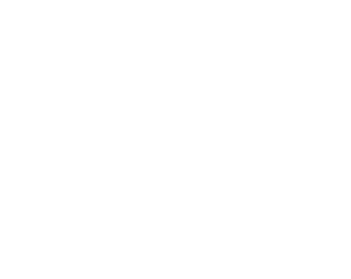 The Moth