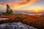 Allegheny Mountains on Wikipedia