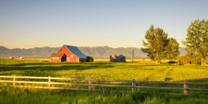 Farm Fun by Rick Beck