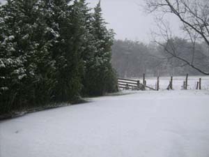 Snow at the Writer's House