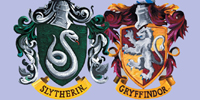 A Gryffindor and a Slytherin by furiosity