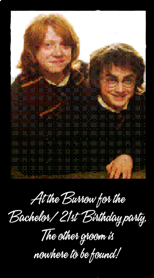 The Wedding Album - At the Burrow