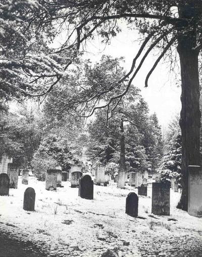 Halloween Reunion by Jevic, The Tarheel Writer - Cemetery