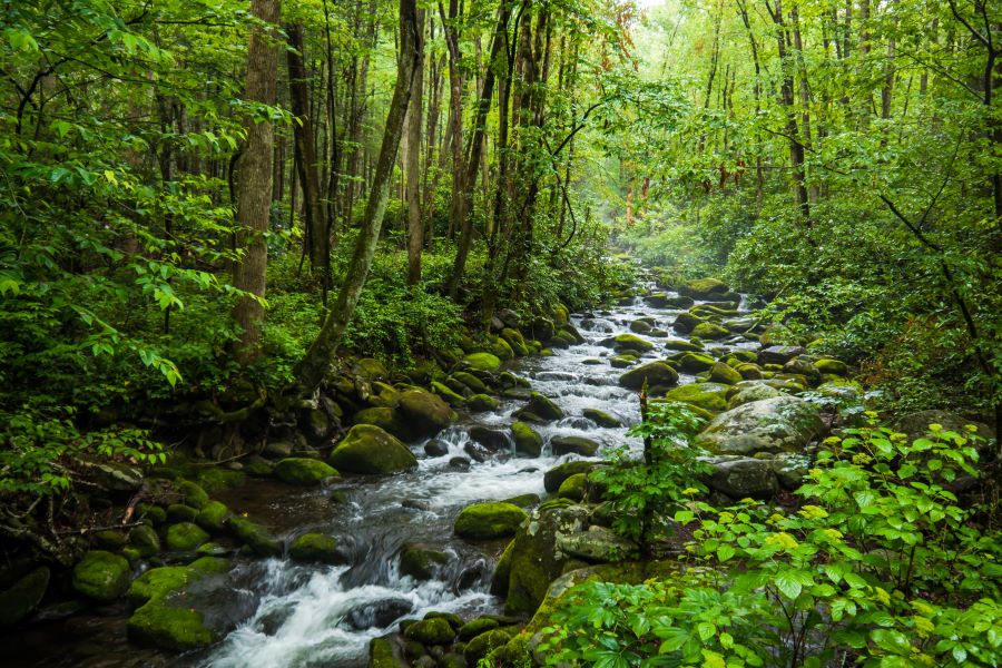 Cottonwood Creek Park by Cole Parker