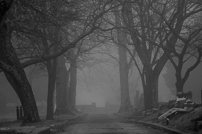 foggy-cemetery