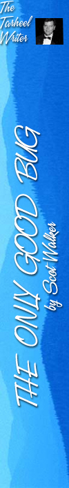 The Only Good Bug by Scot Walker