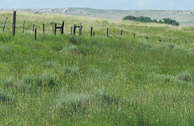 On the High Plains of Wyoming by Cole Parker