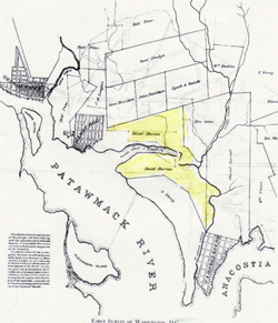 The Only Good Bug by Scot Walker - Washington DC 1790 Map The Only Good Bug by Scot Walker - Washington DC 1790 Map