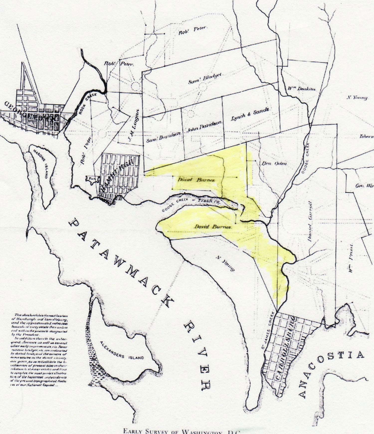 The Only Good Bug by Scot Walker - Washington DC 1790 Map