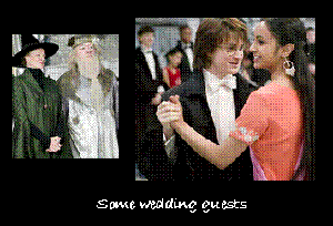 The Wedding Album - Some Wedding Guests
